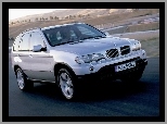 BMW X5, Srebrne