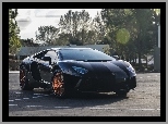 Drzewa, Lamborghini, Aventador