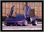 Lamborghini Diablo, Fioletowe