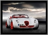 Wiesmann MF3, Tuning