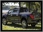 Ford F-150 Platinum