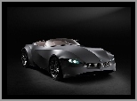 BMW Gina Light Visionary Concept, 2008